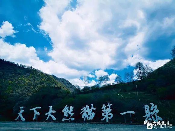 实况俱乐部